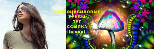 бошки Дмитров