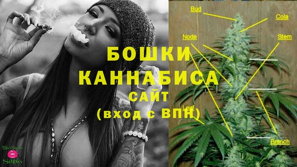 бошки Дмитров